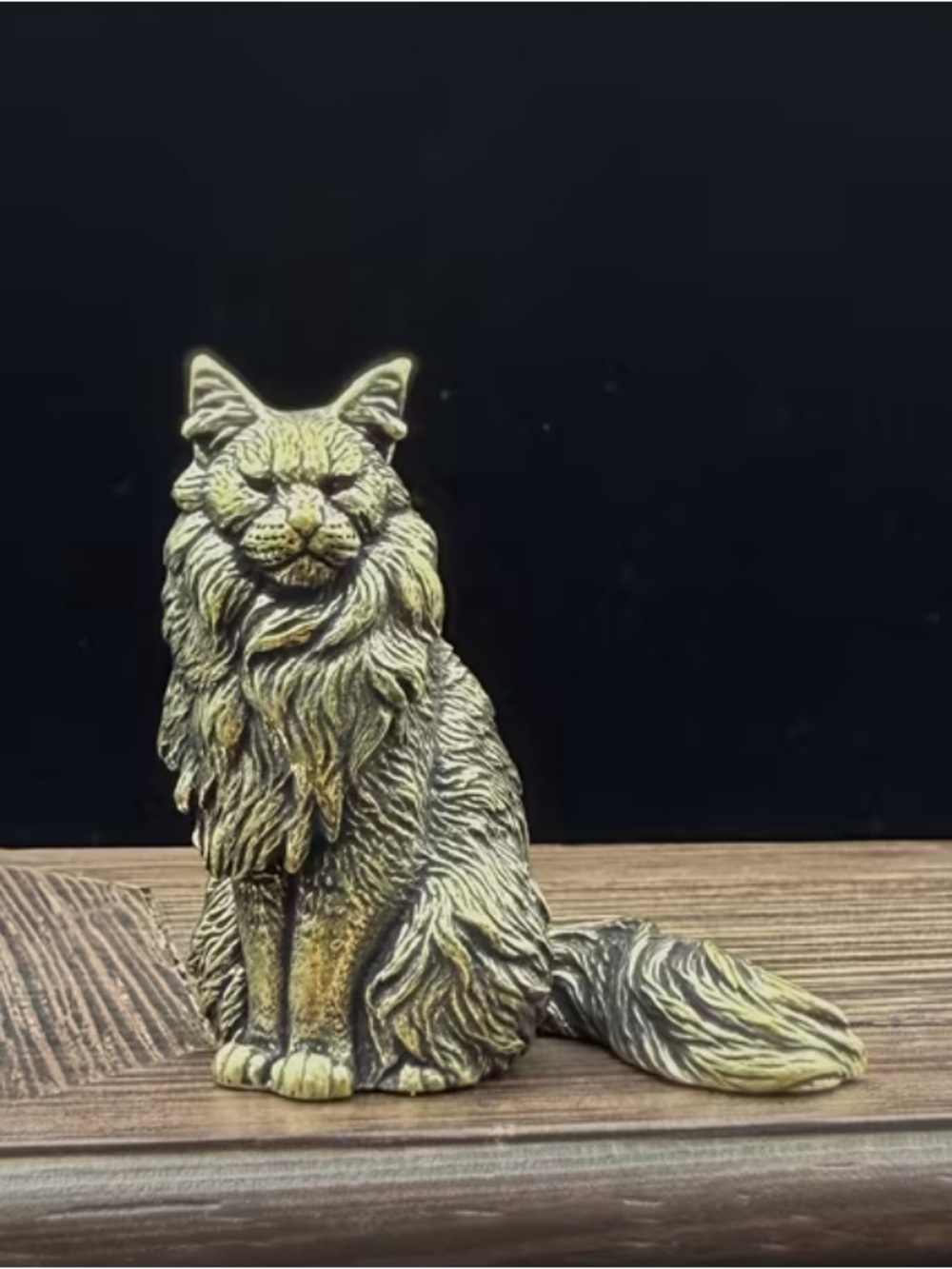 Coon Cat - Picture 3 of 7